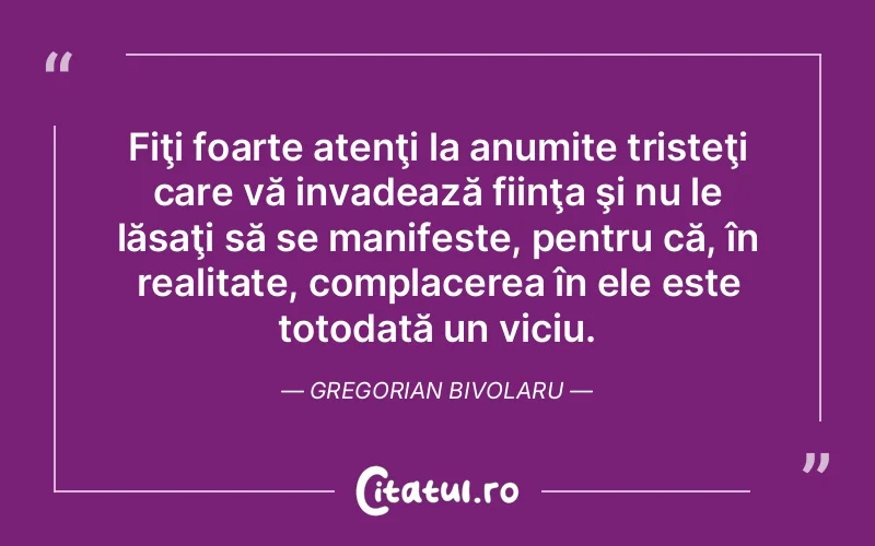 Fiţi foarte atenţi la anumite tristeţi care vă invadează fiinţa şi nu le lăsaţi să se manifeste, pentru că, în realitate, complacerea în ele este totodată un viciu. Gregorian Bivolaru