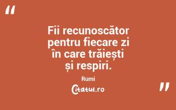 Fii recunoscător pentru fiecare zi în care trăiești și respiri. Rumi...