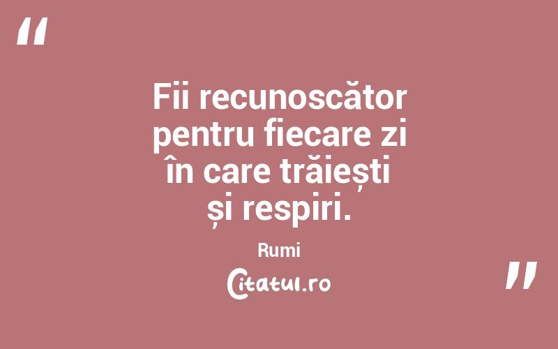 Fii recunoscător pentru fiecare zi în care trăiești și respiri. Rumi
