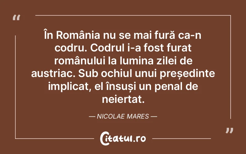 Citat Nicolae Mares - citate spiritualitate