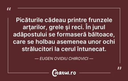Picăturile cădeau printre frunzele arÅ... Picăturile cădeau printre frunzele arÅ...