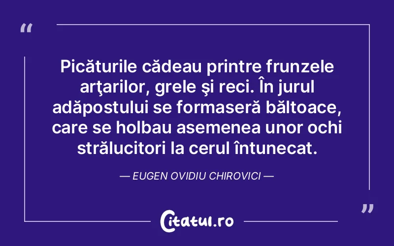 Citat Eugen Ovidiu Chiro - citate spiritualitate