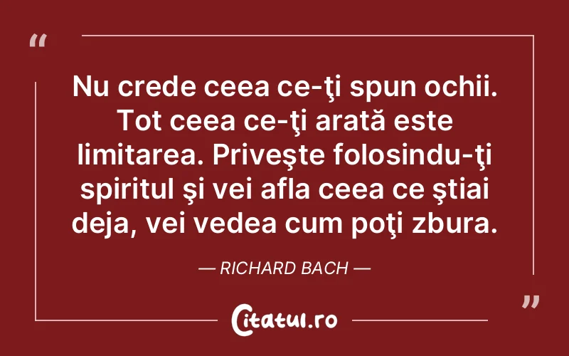 Citat Richard Bach - citate spiritualitate