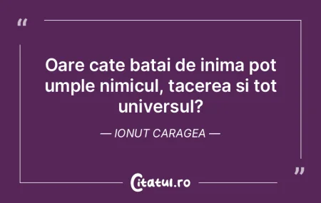 Oare cate batai de inima pot umple nimic... Oare cate batai de inima pot umple nimic...