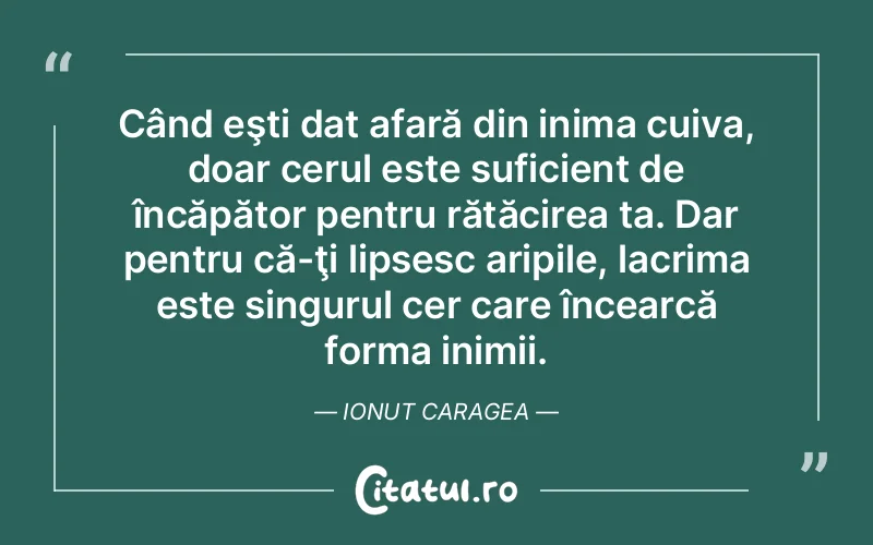 Citat Ion - citate spiritualitate