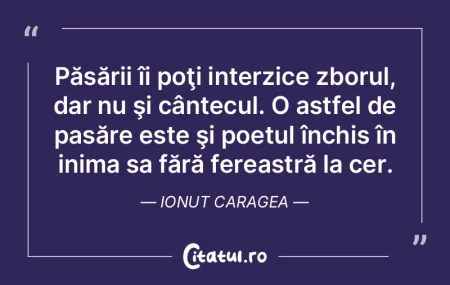 Păsării îi poţi interzice zborul, da...