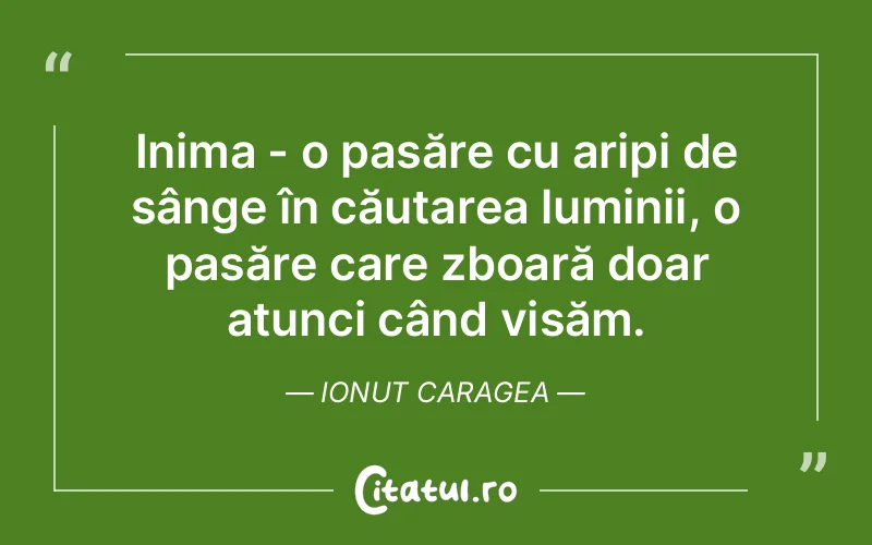 Citat Ionut Caragea - citate spiritualitate