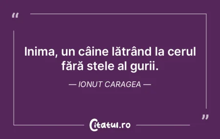 Inima, un câine lătrând la cerul făr... Inima, un câine lătrând la cerul făr...