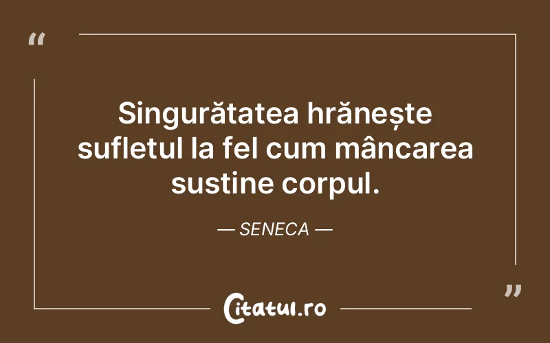 Citat Seneca - citate spiritualitate