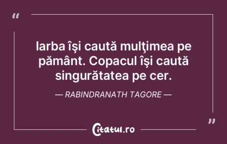 Iarba îşi caută mulţimea pe pământ... Iarba îşi caută mulţimea pe pământ...