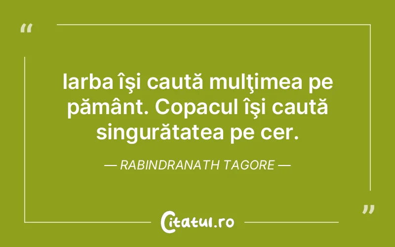 Citat Rabindranath Tagore - citate spiritualitate
