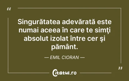 Singurătatea adevărată este numai ace... Singurătatea adevărată este numai ace...