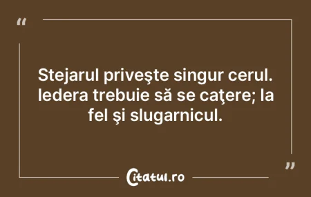 Stejarul priveşte singur cerul. Iedera ...