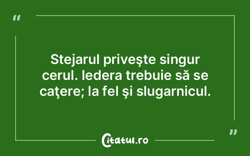 Citat Autor necunoscut - citate spiritualitate