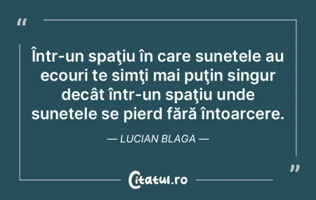 Într-un spaţiu în care sunetele au ec... Într-un spaţiu în care sunetele au ec...