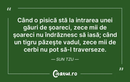Când o pisică stă la intrarea unei gÄ... Când o pisică stă la intrarea unei gÄ...