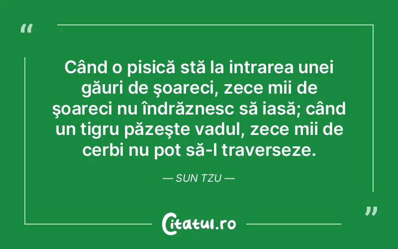 Când o pisică stă la intrarea unei găuri de şoareci, zece mii de şoareci nu îndrăznesc să iasă; când un tigru păzeşte vadul, zece mii de cerbi nu pot să-l traverseze. Sun Tzu