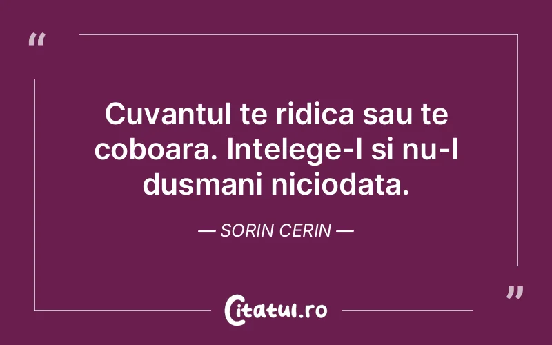 Citat Sorin Cerin - citate spiritualitate