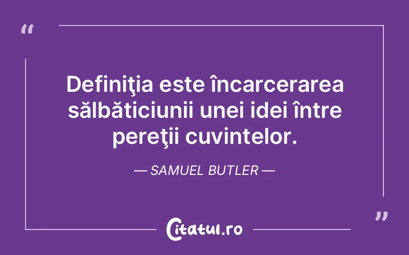 Citat Samuel Butler - citate spiritualitate