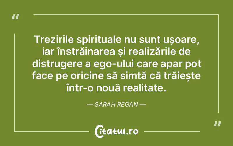 Trezirile spirituale nu sunt ușoare, iar înstrăinarea și realizările de distrugere a ego-ului care apar pot face pe oricine să simtă că trăiește într-o nouă realitate. Sarah Regan