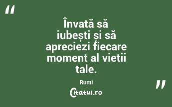 Învață să iubești și să apreciezi fiecare moment al vieții tale. Rumi...