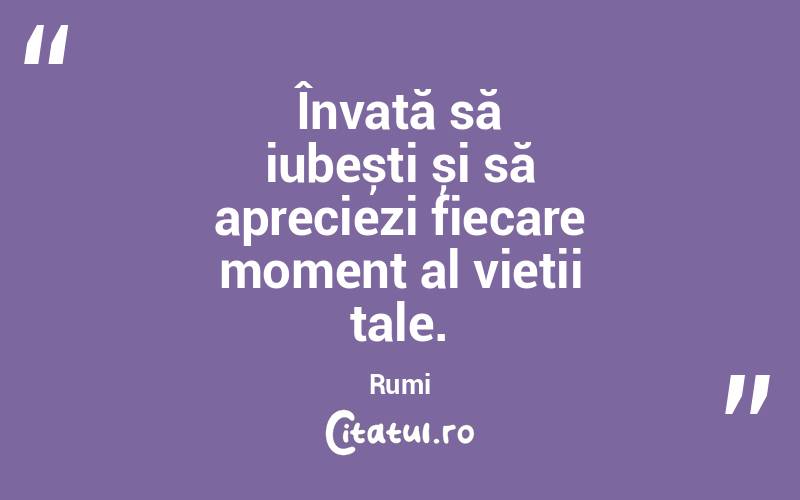 Învață să iubești și să apreciezi fiecare moment al vieții tale. Rumi
