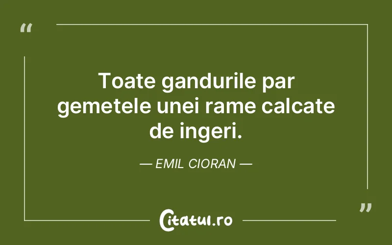 Citat Emil Cioran - citate spiritualitate