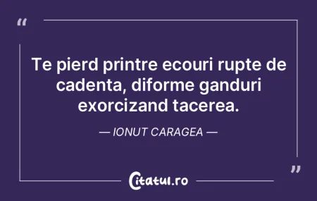 Te pierd printre ecouri rupte de cadenta... Te pierd printre ecouri rupte de cadenta...