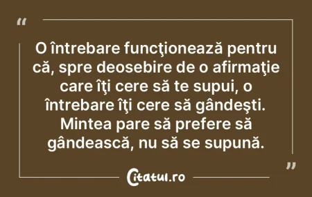 O întrebare funcţionează pentru că, ... O întrebare funcţionează pentru că, ...