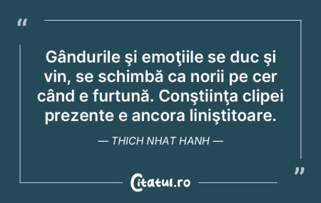 Gândurile şi emoţiile se duc şi vin,... Gândurile şi emoţiile se duc şi vin,...