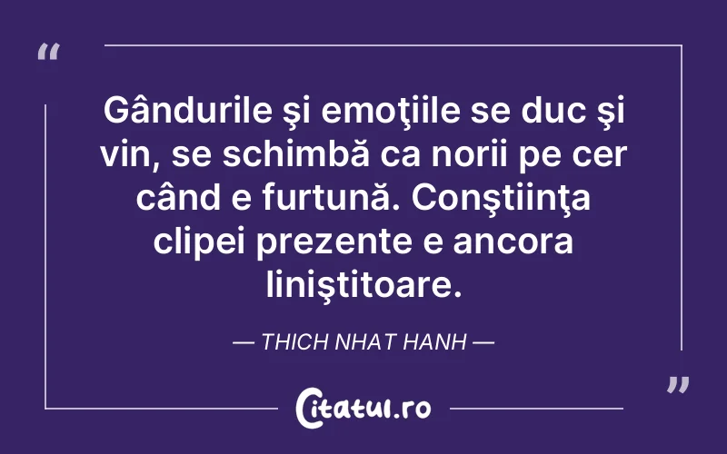 Citat Thich Nhat Hanh - citate spiritualitate