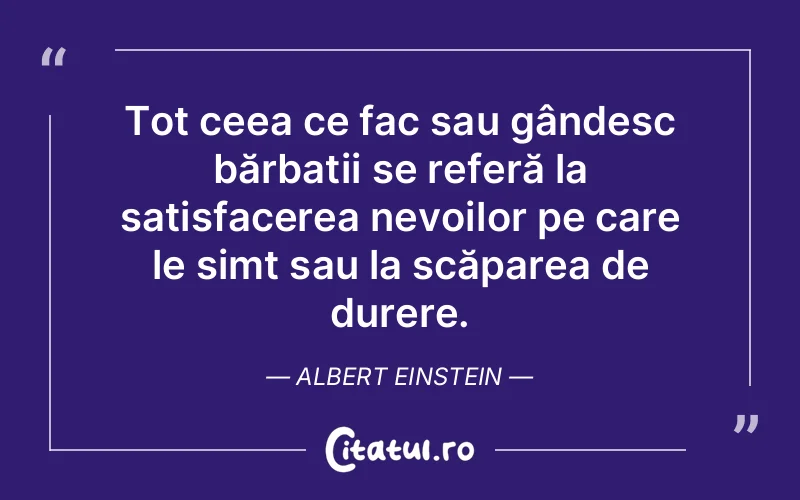 Citat Albert Einstein - citate spiritualitate
