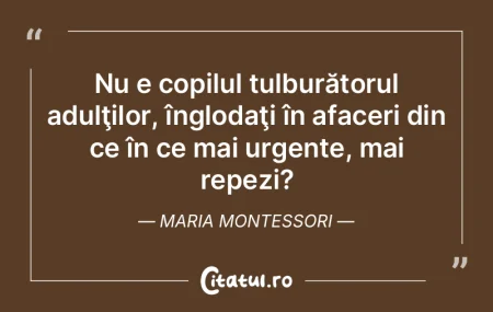 Nu e copilul tulburătorul adulÅ£ilor, Ã... Nu e copilul tulburătorul adulÅ£ilor, Ã...