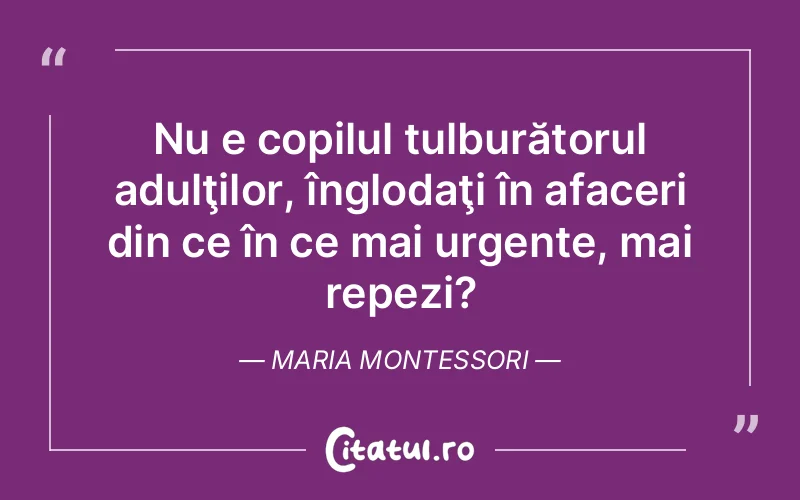 Citat Maria Montessori - citate spiritualitate