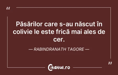 Păsărilor care s-au născut în colivi... Păsărilor care s-au născut în colivi...