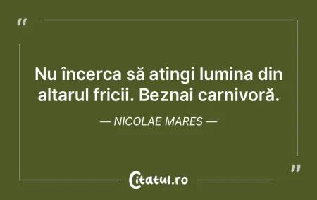Nu încerca să atingi lumina din altaru... Nu încerca să atingi lumina din altaru...