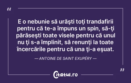 E o nebunie să urăşti toţi trandafir... E o nebunie să urăşti toţi trandafir...