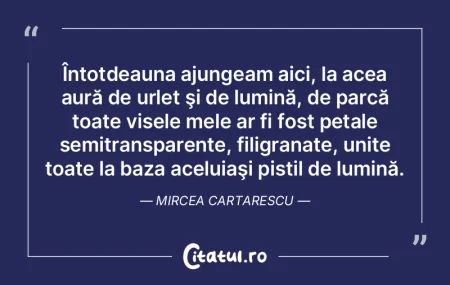 ÃŽntotdeauna ajungeam aici, la acea aurÄ... ÃŽntotdeauna ajungeam aici, la acea aurÄ...