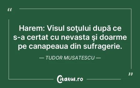 Harem: Visul soţului după ce s-a certa... Harem: Visul soţului după ce s-a certa...