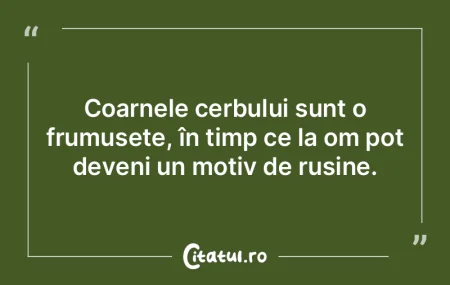 Coarnele cerbului sunt o frumusețe, în...