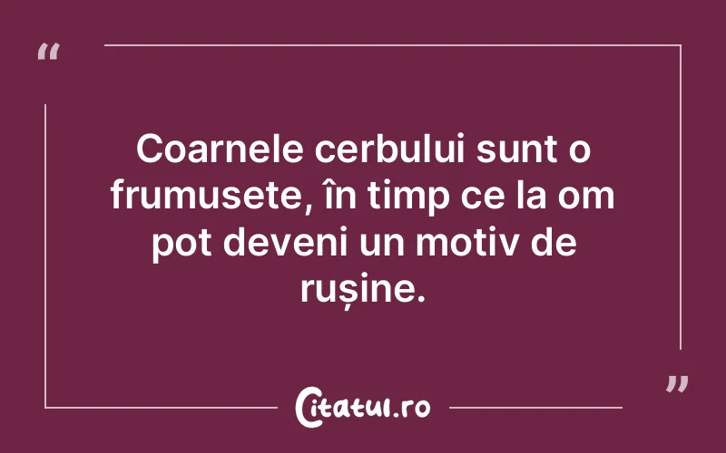 Citat Autor necunoscut - citate spiritualitate