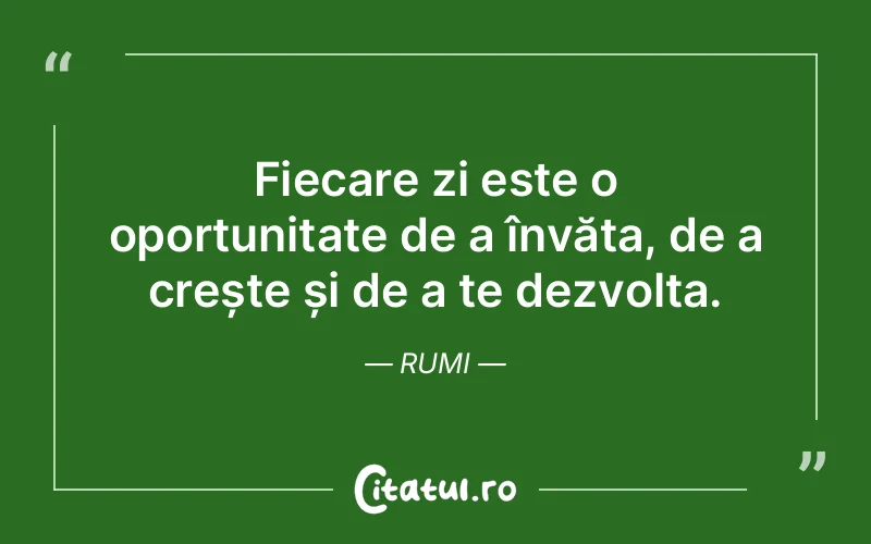 Citat Rumi - citate spiritualitate
