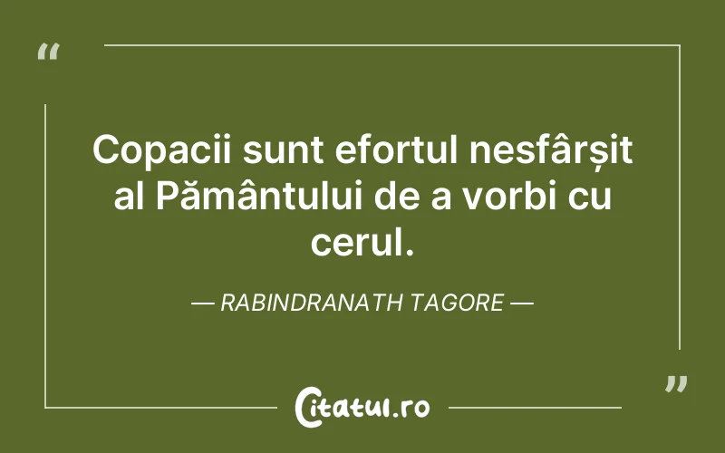 Citat Rabindranath Tagore - citate spiritualitate