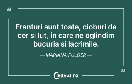 Franturi sunt toate, cioburi de cer si l... Franturi sunt toate, cioburi de cer si l...