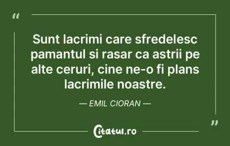 Sunt lacrimi care sfredelesc pamantul si... Sunt lacrimi care sfredelesc pamantul si...