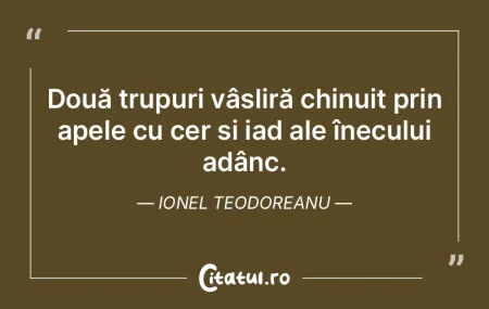 Două trupuri vâsliră chinuit prin ape... Două trupuri vâsliră chinuit prin ape...