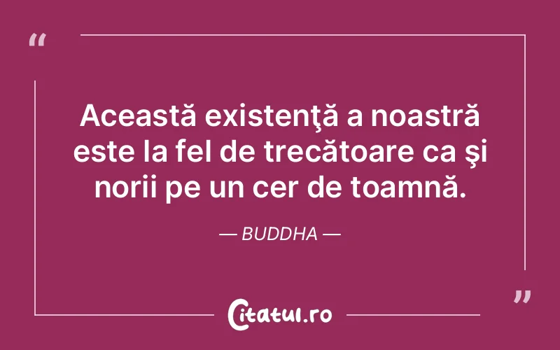 Citat Buddha - citate spiritualitate