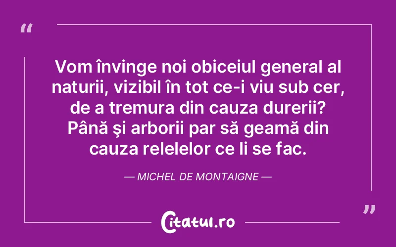 Citat Autor necunoscut - citate spiritualitate