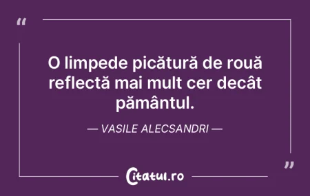 O limpede picătură de rouă reflectă ... O limpede picătură de rouă reflectă ...
