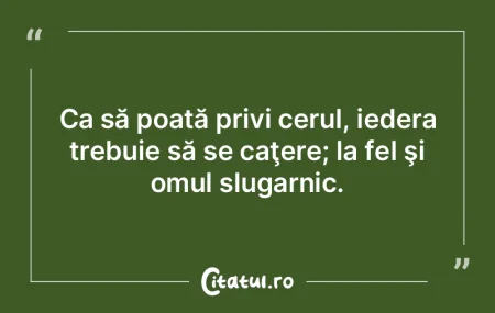 Ca să poată privi cerul, iedera trebui... Ca să poată privi cerul, iedera trebui...